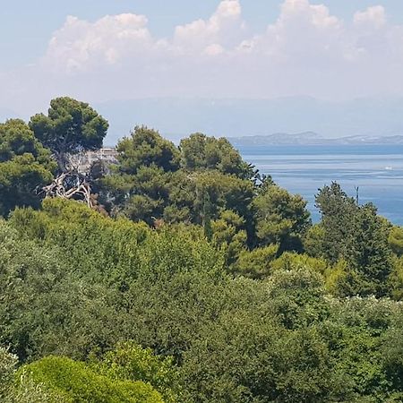 شقة Mon Repos Panorama Corfu  المظهر الخارجي الصورة